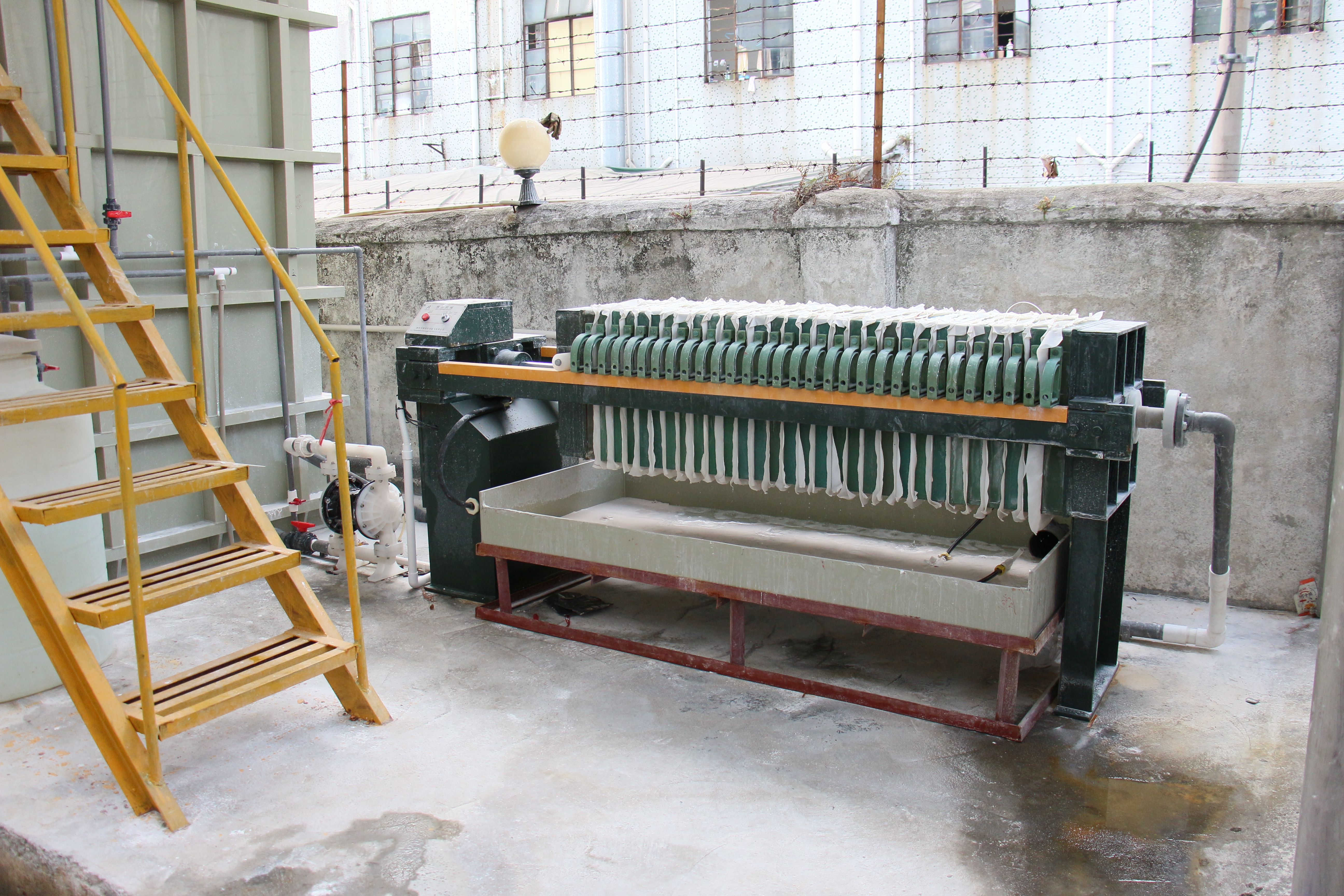 IMG_6988.JPG